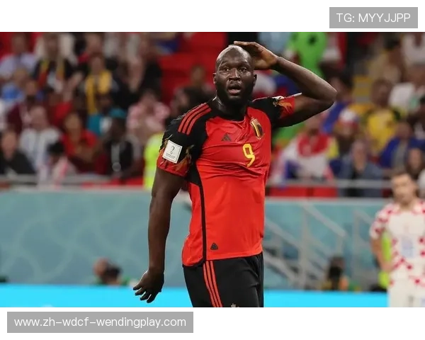 比利时籍球员在英超的分布及表现情况 比利时籍球员在英超的分布及表现情况