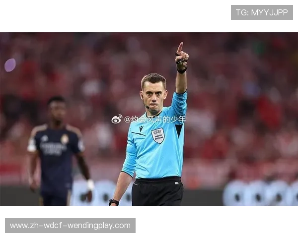 法甲裁判数据及争议分析