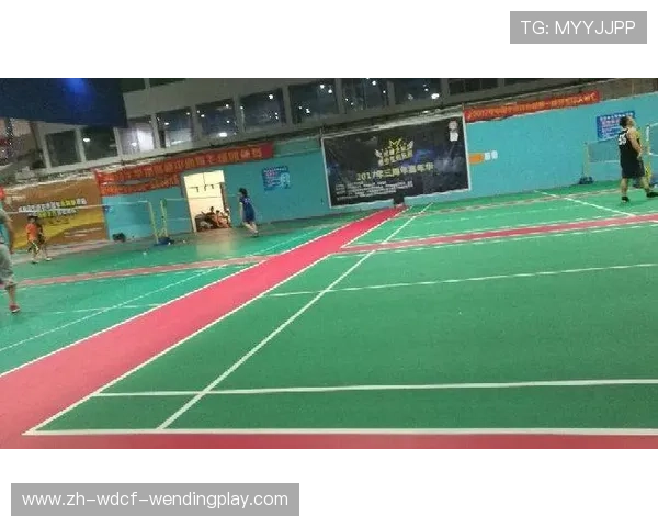 羽毛球娱乐用球重量 羽毛球娱乐用球重量