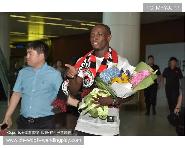 苏宁与德甲球队合作动态 苏宁与德甲球队合作动态