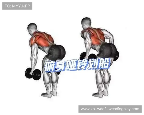 健身器材各部位动作要点详解:正确姿势助力训练效果 健身器材各部位动作要点详解:正确姿势助力训练效果
